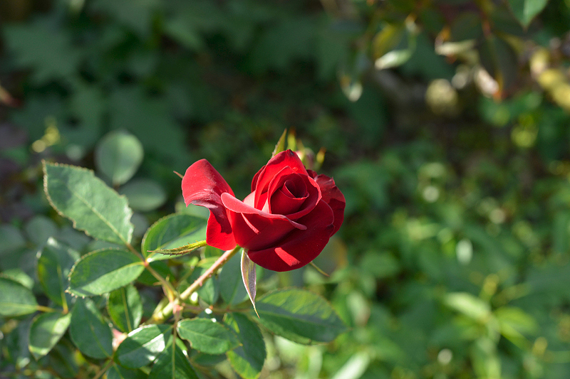 image0449