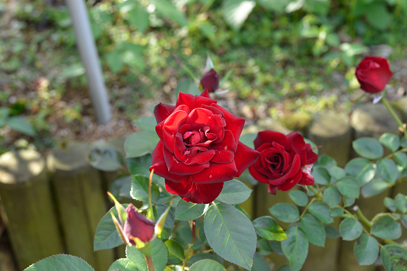 image0450