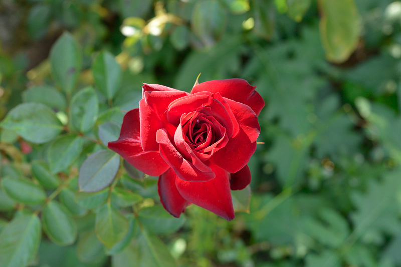 image0459