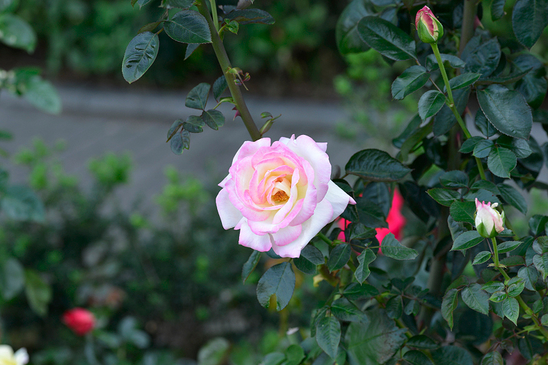 image0468