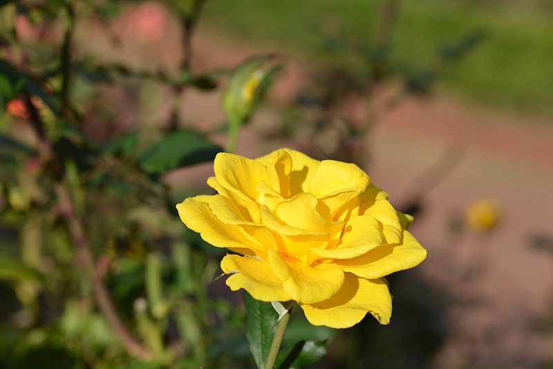 image0471