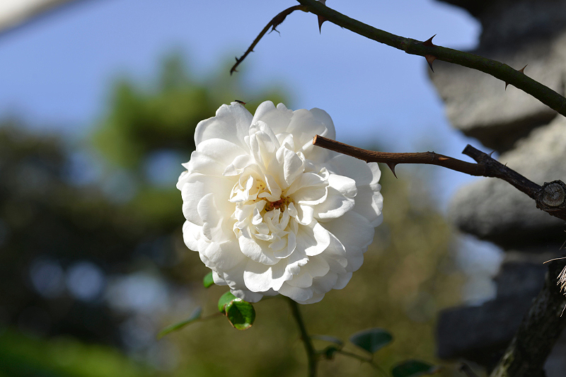 image0472
