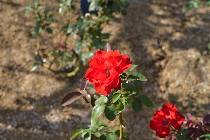 image0476