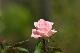 image0163