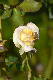 image0164