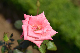 image0168
