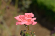 image0170