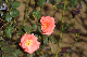image0172