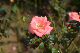 image0173