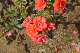 image0179