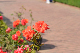 image0180