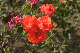 image0182