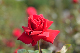 image0189