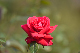 image0193
