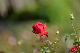 image0195