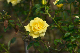 image0197