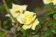 image0198