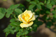 image0199