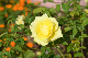 image0200