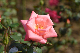 image0201