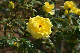 image0202