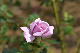image0204