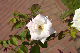 image0205