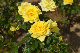 image0208