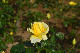 image0209