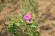 image0211