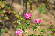 image0212
