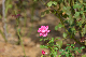 image0214
