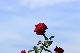 image0216