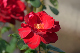 image0217