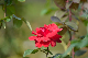 image0218
