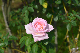 image0220
