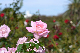 image0221