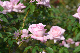 image0222