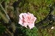 image0223