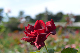 image0224