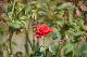 image0226