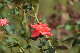 image0228
