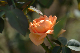image0230
