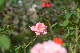 image0232