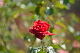 image0235