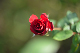 image0236