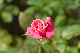 image0241