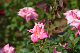 image0242