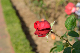 image0248