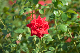 image0257